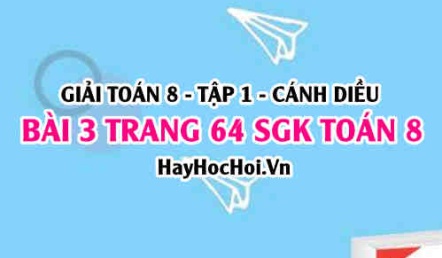 Giải bài 3 trang 64 Toán 8 Tập 1 SGK Cánh Diều